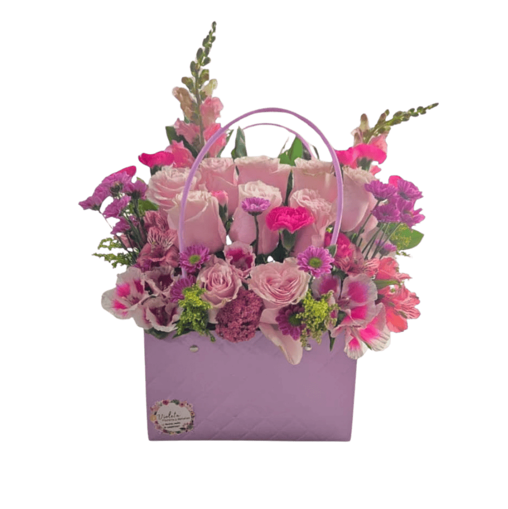 Cartera de Regalo