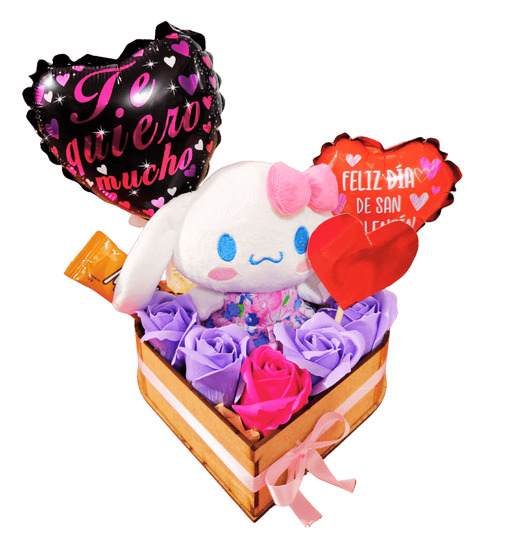 Conejita San Valentin