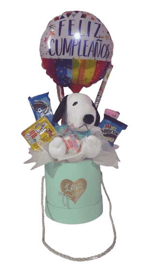 Caja decorada Snoopy